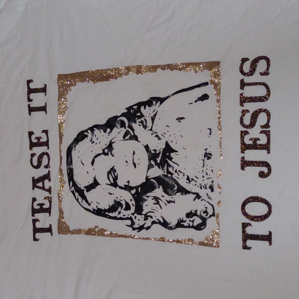 TEASE IT TO JESUS t-shirt.
